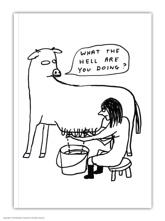 David Shrigley A6 Notebook  What The Hell