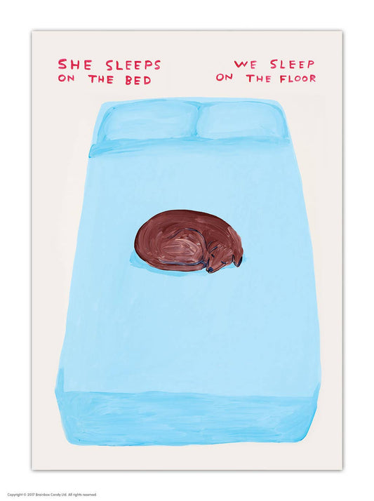 Dog Sleeps Shrigley Postcard